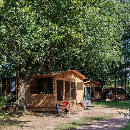 Huttopia De Roos Stegeren Exterior foto