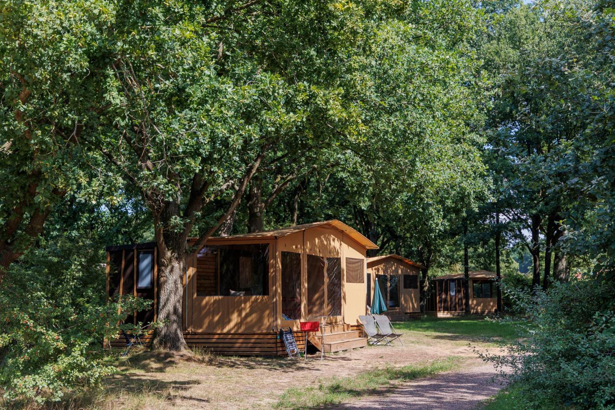 Huttopia De Roos Stegeren Exterior foto